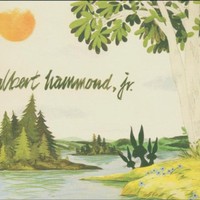 Albert Hammond, Jr., Yours to Keep