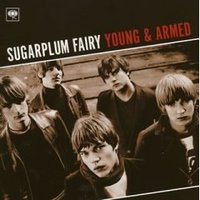 Sugarplum Fairy, Young & Armed