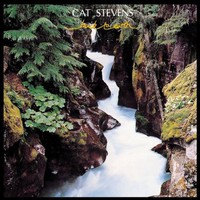 Cat Stevens, Back to Earth