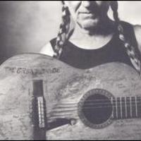 Willie Nelson, The Great Divide