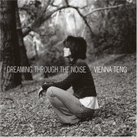 Vienna Teng, Dreaming Through the Noise