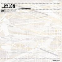 Pylon, The Standard Fight