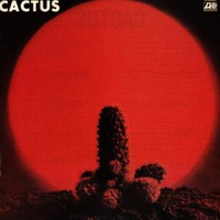 Cactus, Cactus