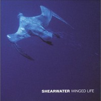 Shearwater, Winged Life