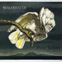 Shearwater, Palo Santo