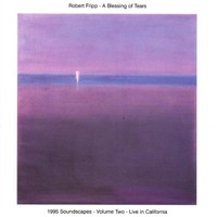 Robert Fripp, A Blessing of Tears: 1995 Soundscapes, Volume 2: Live in California
