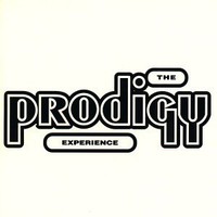 The Prodigy, Experience