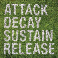 Simian Mobile Disco, Attack Decay Sustain Release