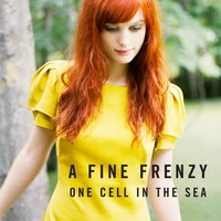 A Fine Frenzy, One Cell in the Sea