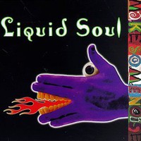 Liquid Soul, Make Some Noise