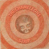 The Chameleons, Strip