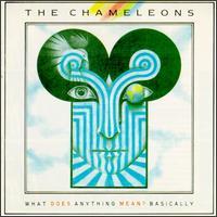The Chameleons, What Does Anything Mean? Basically