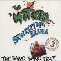 The Meteors, Sewertime Blues/Don't Touch The Bang Bang Fruit