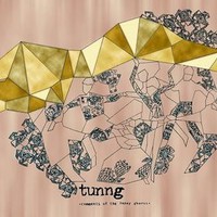 Tunng, Comments of the Inner Chorus