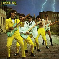 Donnie Iris, Back on the Streets