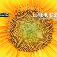Lemongrass, Fleur Solaire