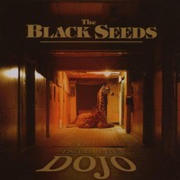 The Black Seeds, Into the Dojo