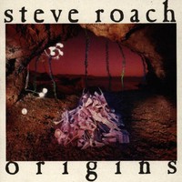 Steve Roach, Origins