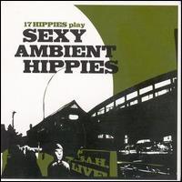 17 Hippies, Sexy Ambient Hippies
