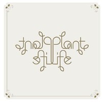 PlantLife, The Return of Jack Splash