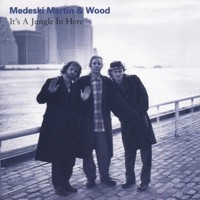 Medeski Martin and Wood, It's a Jungle in Here
