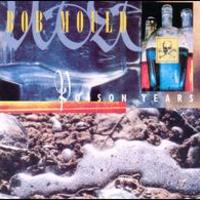 Bob Mould, Poison Years