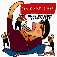 Los Campesinos!, Hold On Now, Youngster...