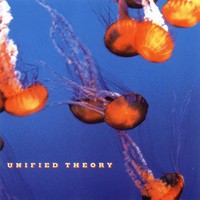 Unified Theory, Unified Theory