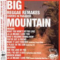 Big Mountain, Reggae Remakes: Covers in Paradise