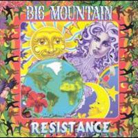 Big Mountain, Resistance