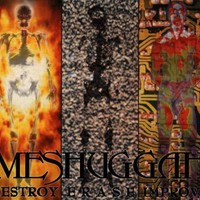 Meshuggah, Destroy Erase Improve