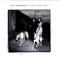 Van Morrison, Days Like This