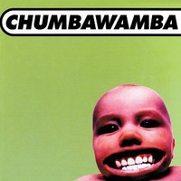 Chumbawamba, Tubthumper