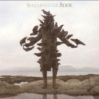 Shearwater, Rook