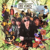 The Vines, Melodia