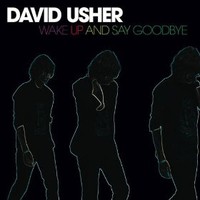 David Usher, Wake Up and Say Goodbye