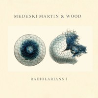 Medeski Martin and Wood, Radiolarians I