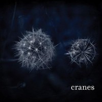 Cranes, Cranes