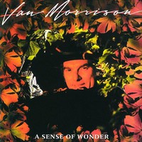 Van Morrison, A Sense of Wonder