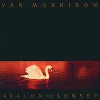 Van Morrison, Avalon Sunset