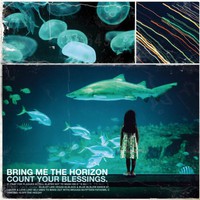 Bring Me the Horizon, Count Your Blessings