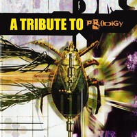 Various Artists, A Tribute to The Prodigy