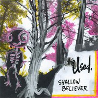 The Used, Shallow Believer