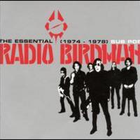 Radio Birdman, The Essential Radio Birdman: 1974-1978
