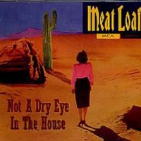 Meat Loaf, Not A Dry Eye In The House