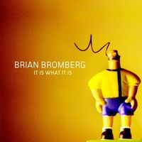 Brian Bromberg, It Is What It Is