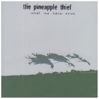 The Pineapple Thief, What We Have Sown