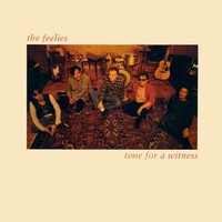 The Feelies, Time for a Witness