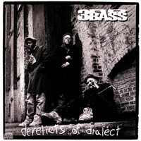 3rd Bass, Derelicts of Dialect