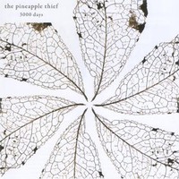 The Pineapple Thief, 3000 Days